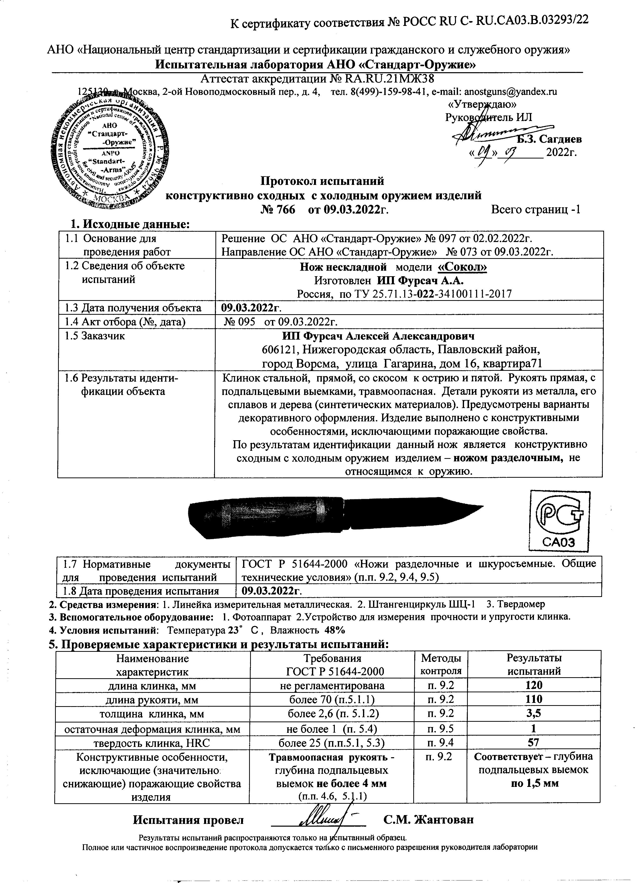 СОКОЛ СОКОЛ.jpg