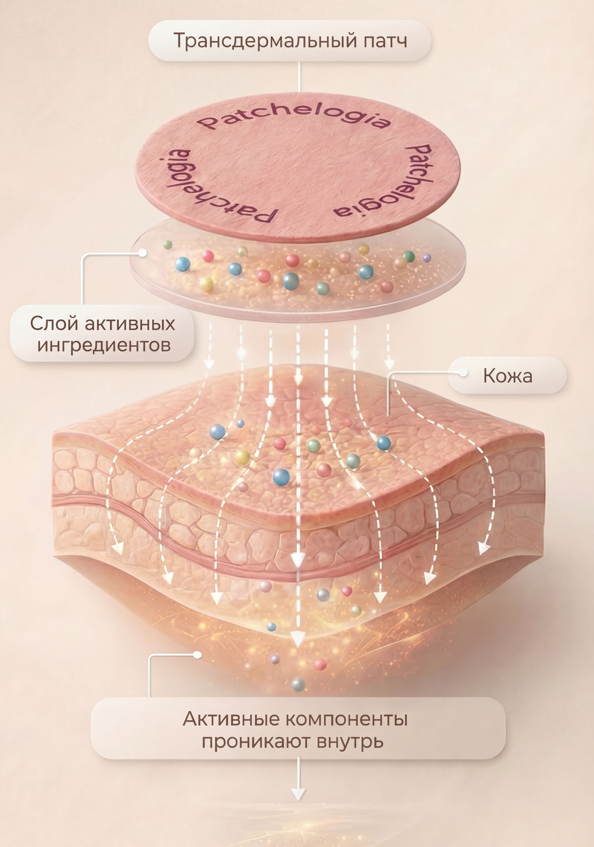 Технология Patchelogia