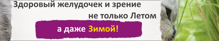 Купить семена травы для домашних животных, цена низкая, доставка почтой наложенным платежом по России, курьером по Москве - интернет-магазин АгроБум