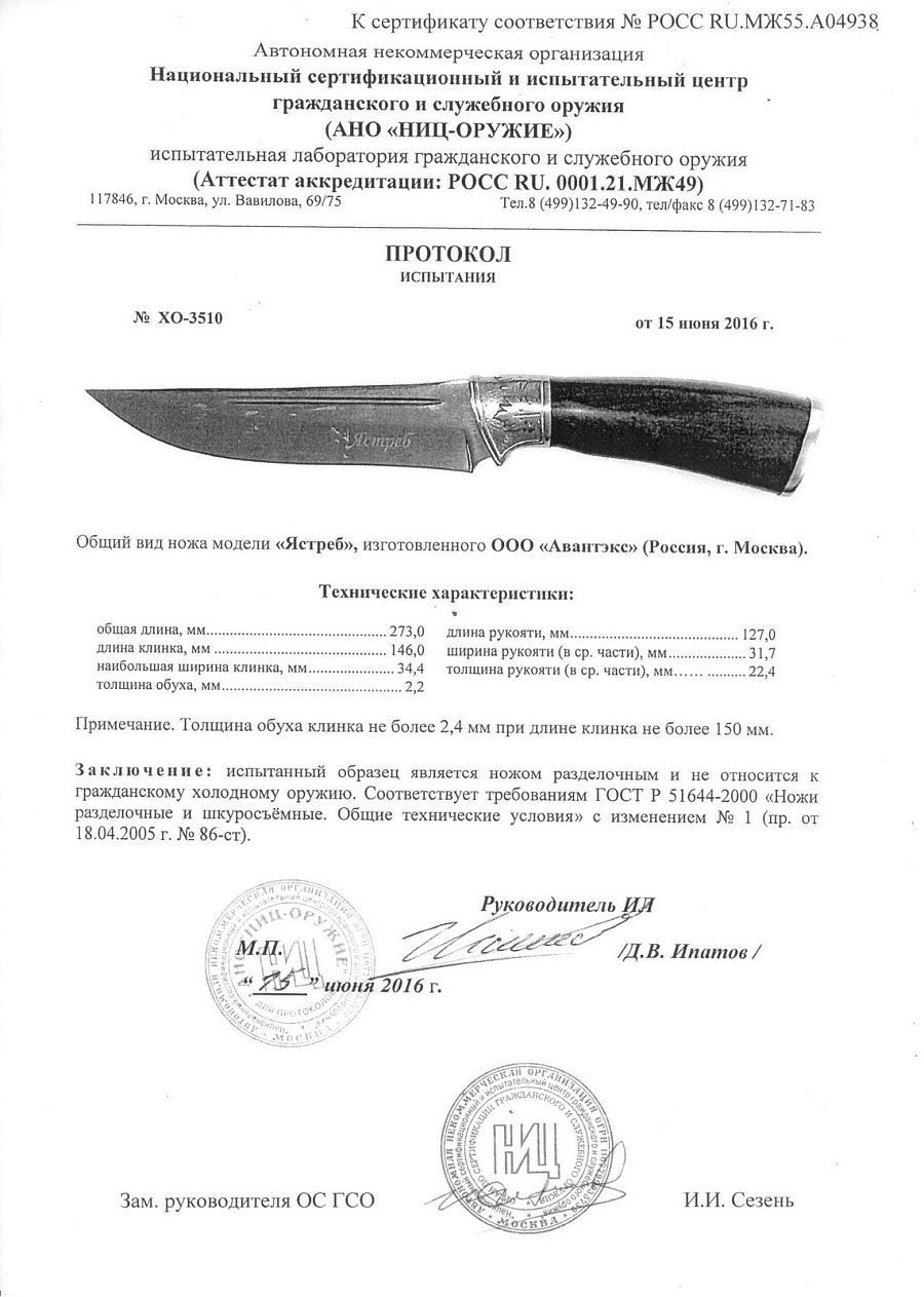 ястреб ястреб.jpg