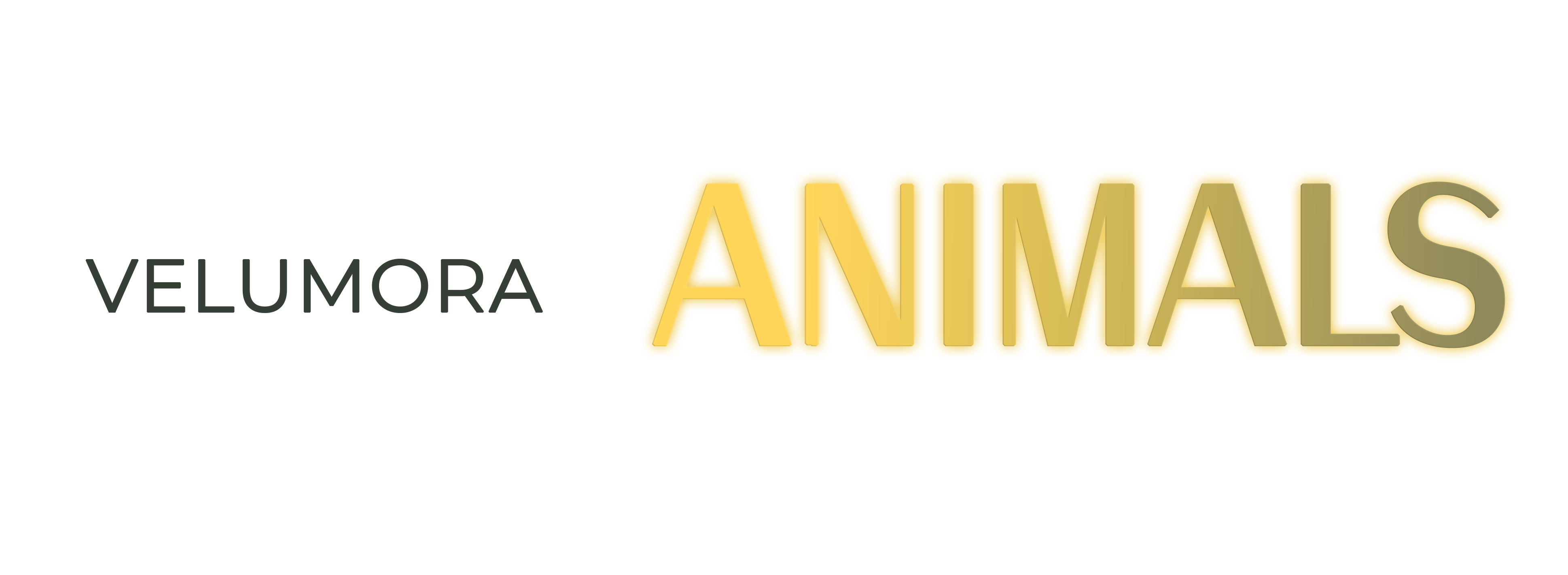 VELUMORA ANIMALS - благотворительный проект