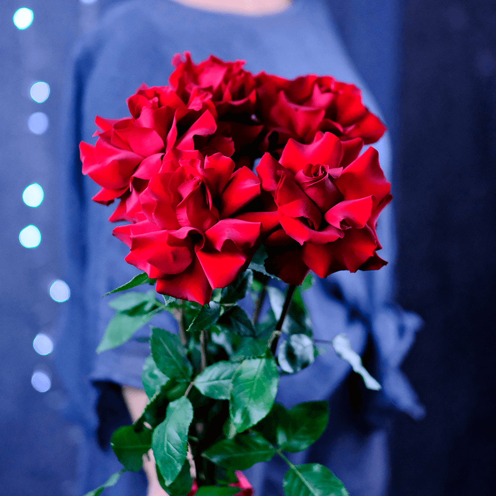 Букет французских роз