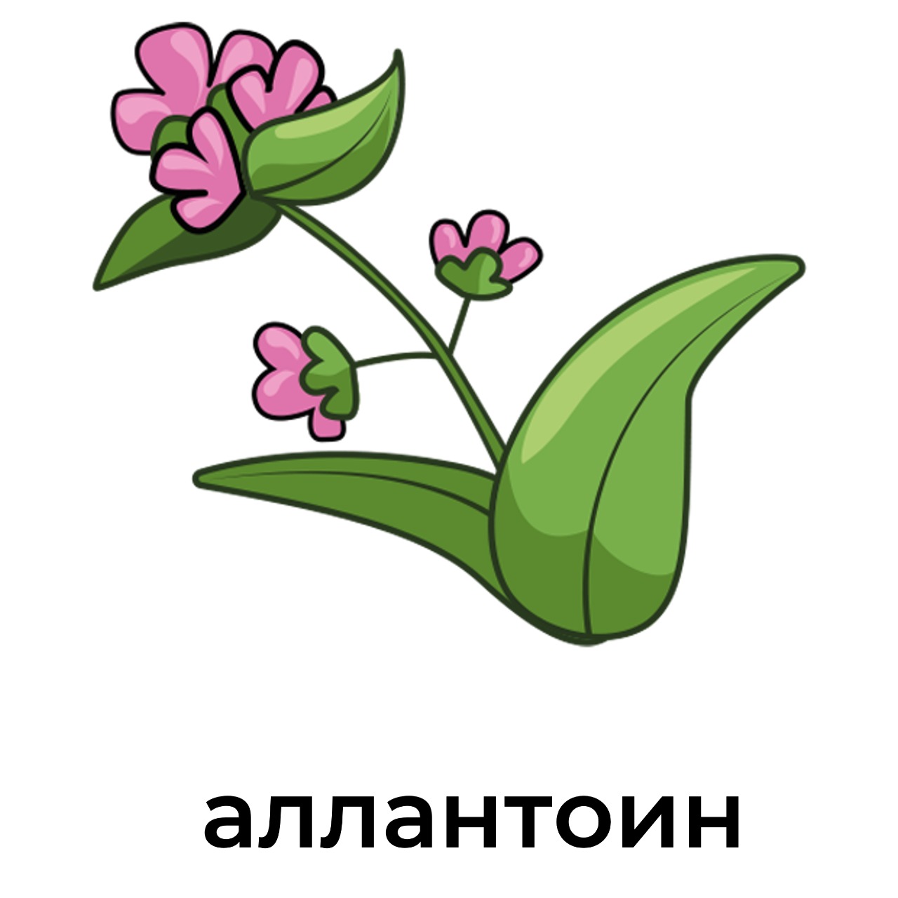 аллантоин.jpeg