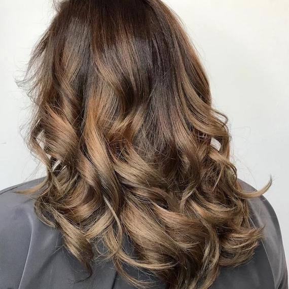 wellaproblogbrownhaircolorsimage9.jpg