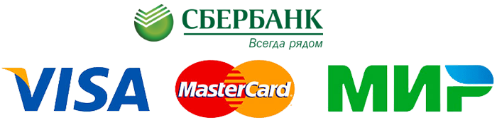 Оплата сбер мир. Visa MASTERCARD Сбербанк. Сбербанк мир виза. Логотипы платежных систем. Сбербанк логотипы платежных систем.