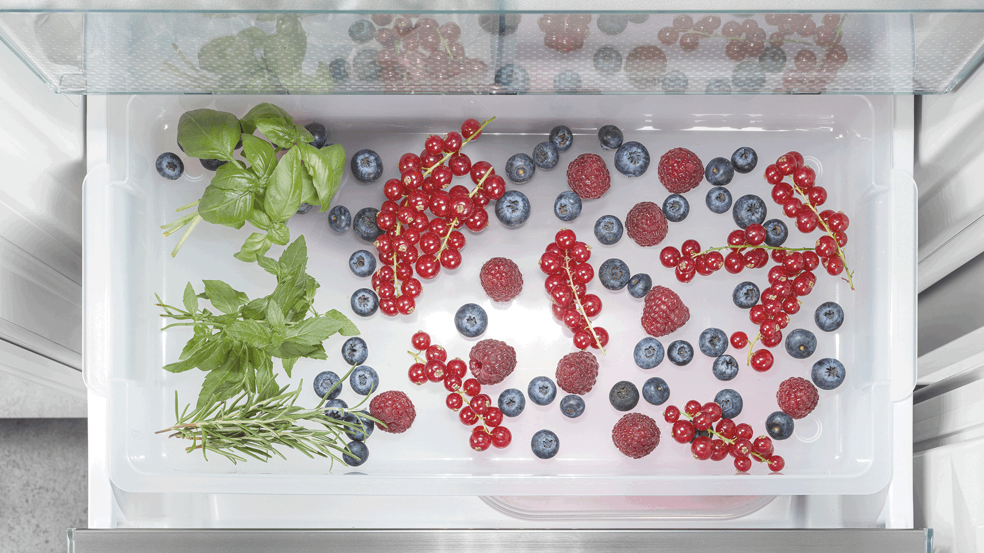 лоток для заморозки.jpg