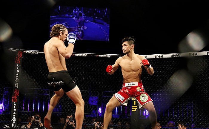 рестлинг и MMA.