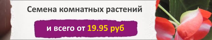 Купить семена комнатных растений, по низкой цене, доставка почтой наложенным платежом по России, курьером по Москве - интернет-магазин АгроБум.