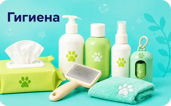 Гигиена
