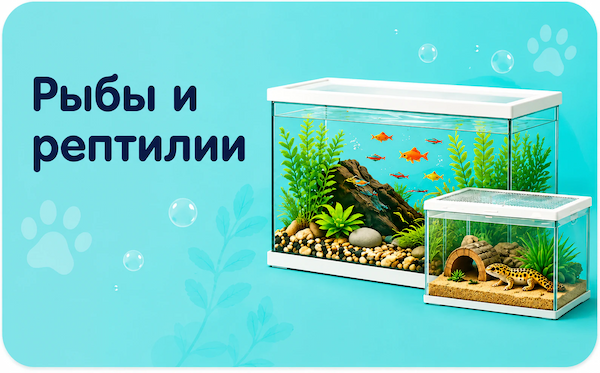 Рыбы и рептилии