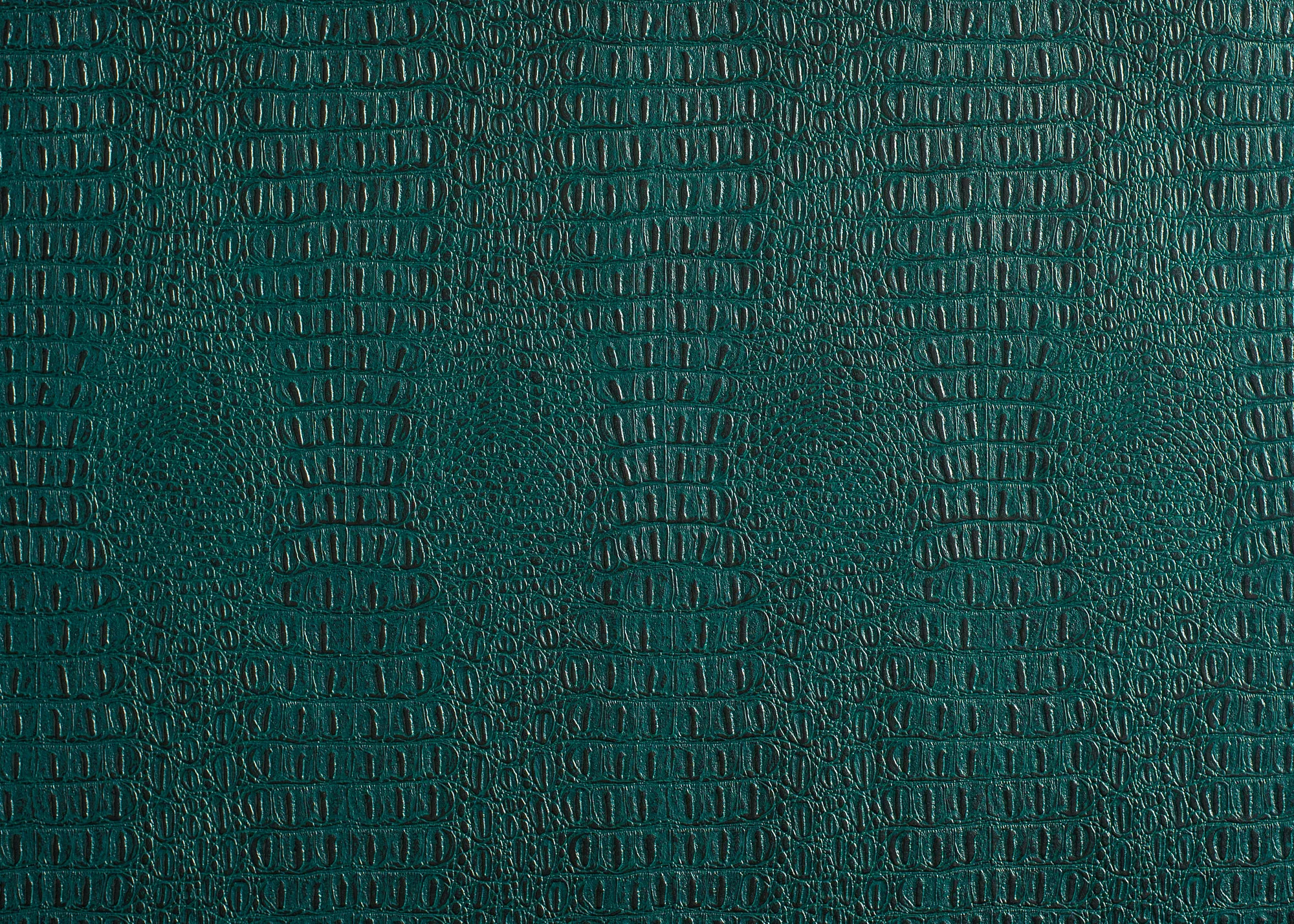 Reptile