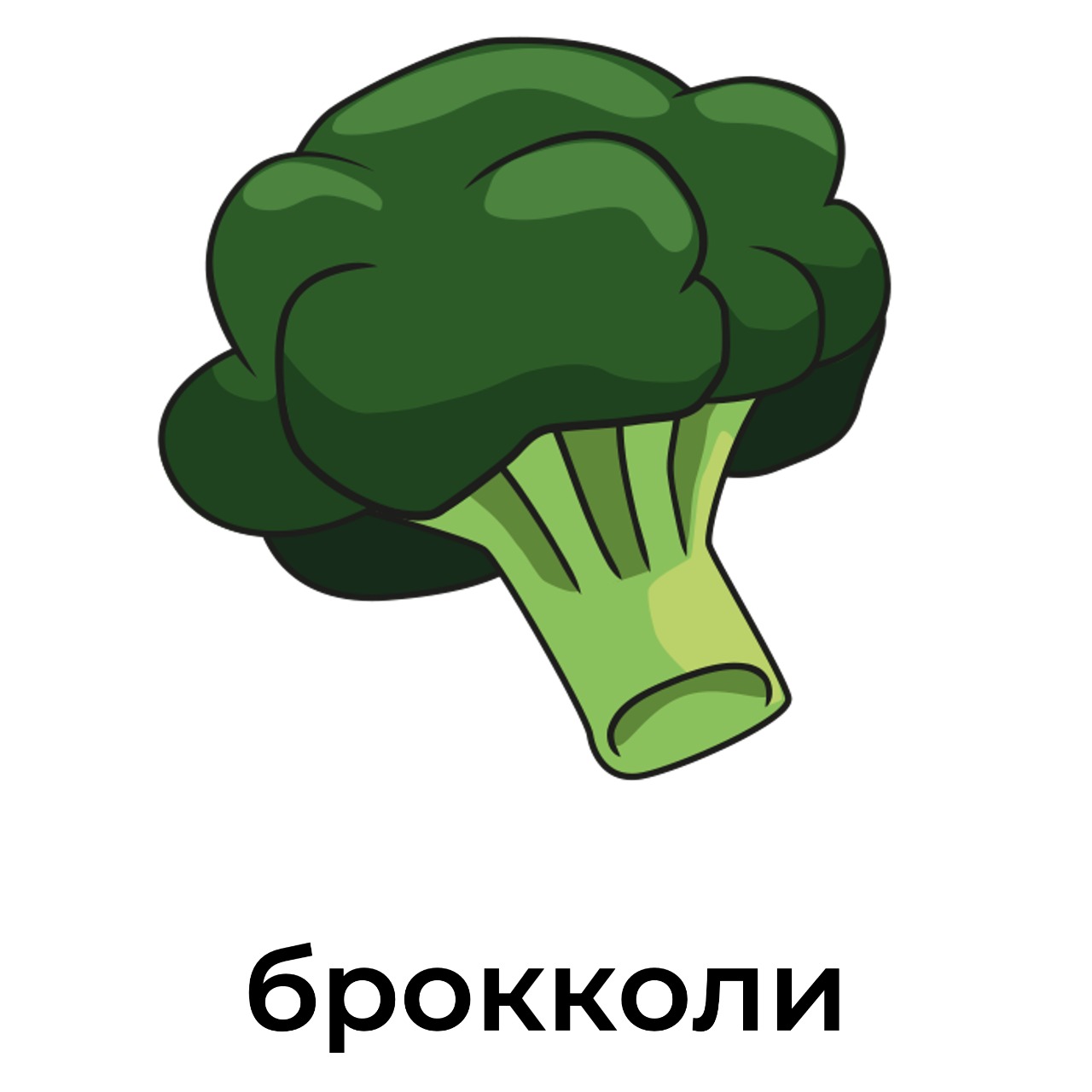 брокколи.jpeg