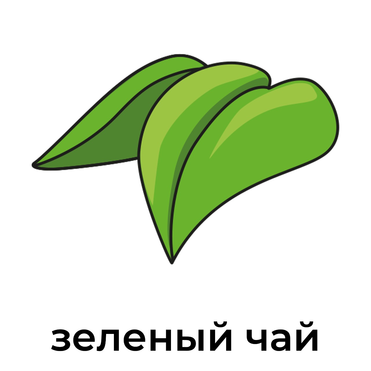 зеленый_чай.jpeg
