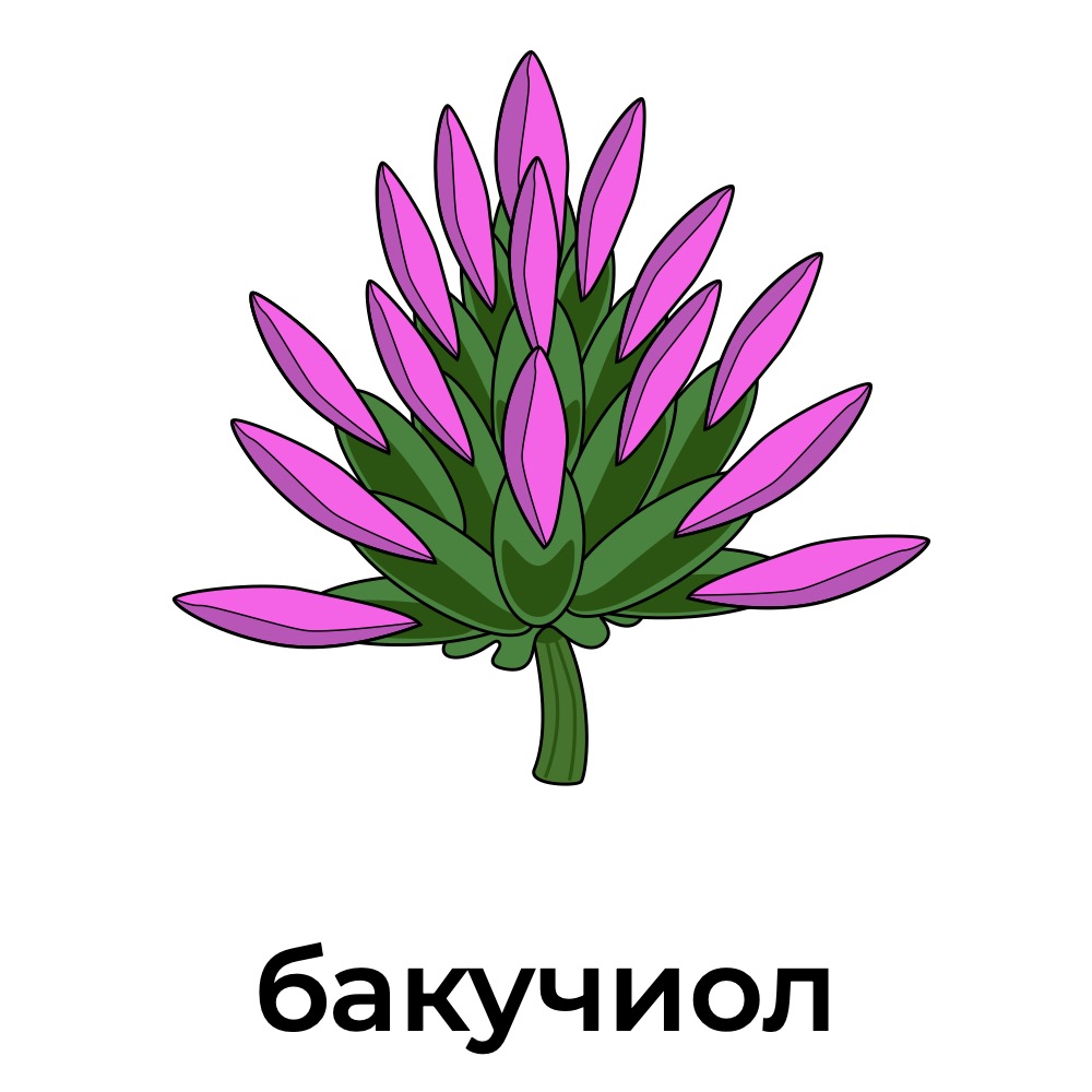 бакучиол.jpg