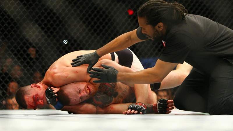 7  Диас братья спорт бои ММА UFC FIGHT.jpg