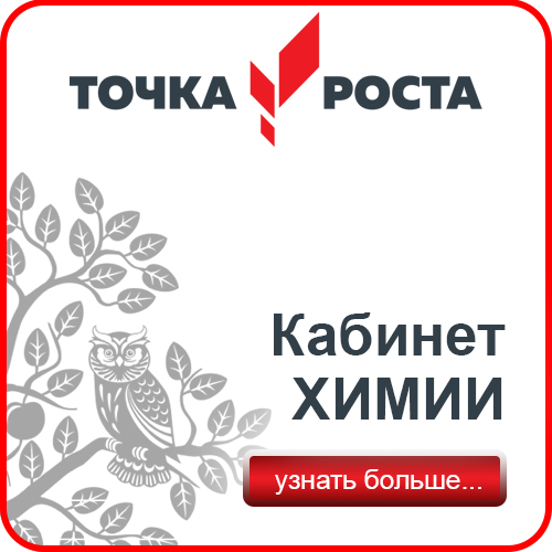 Презентация точка роста шаблон