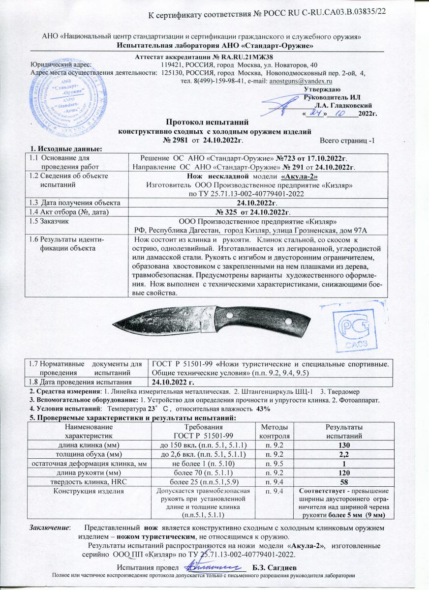 акула 2.jpg