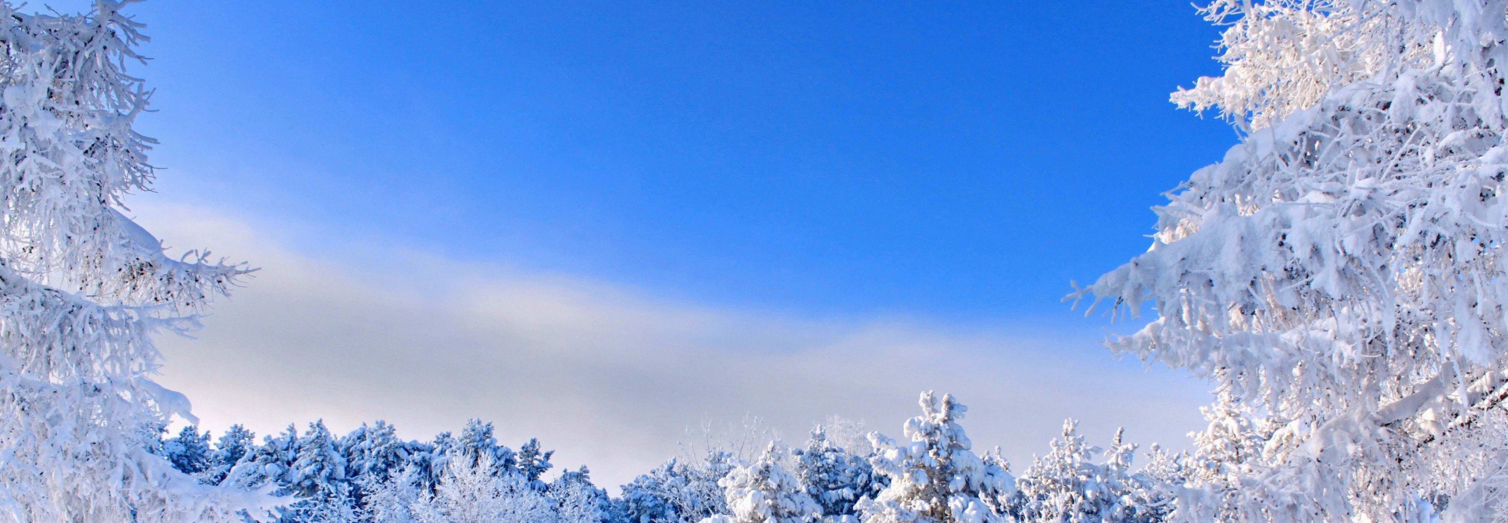 Слайдер Блок 4