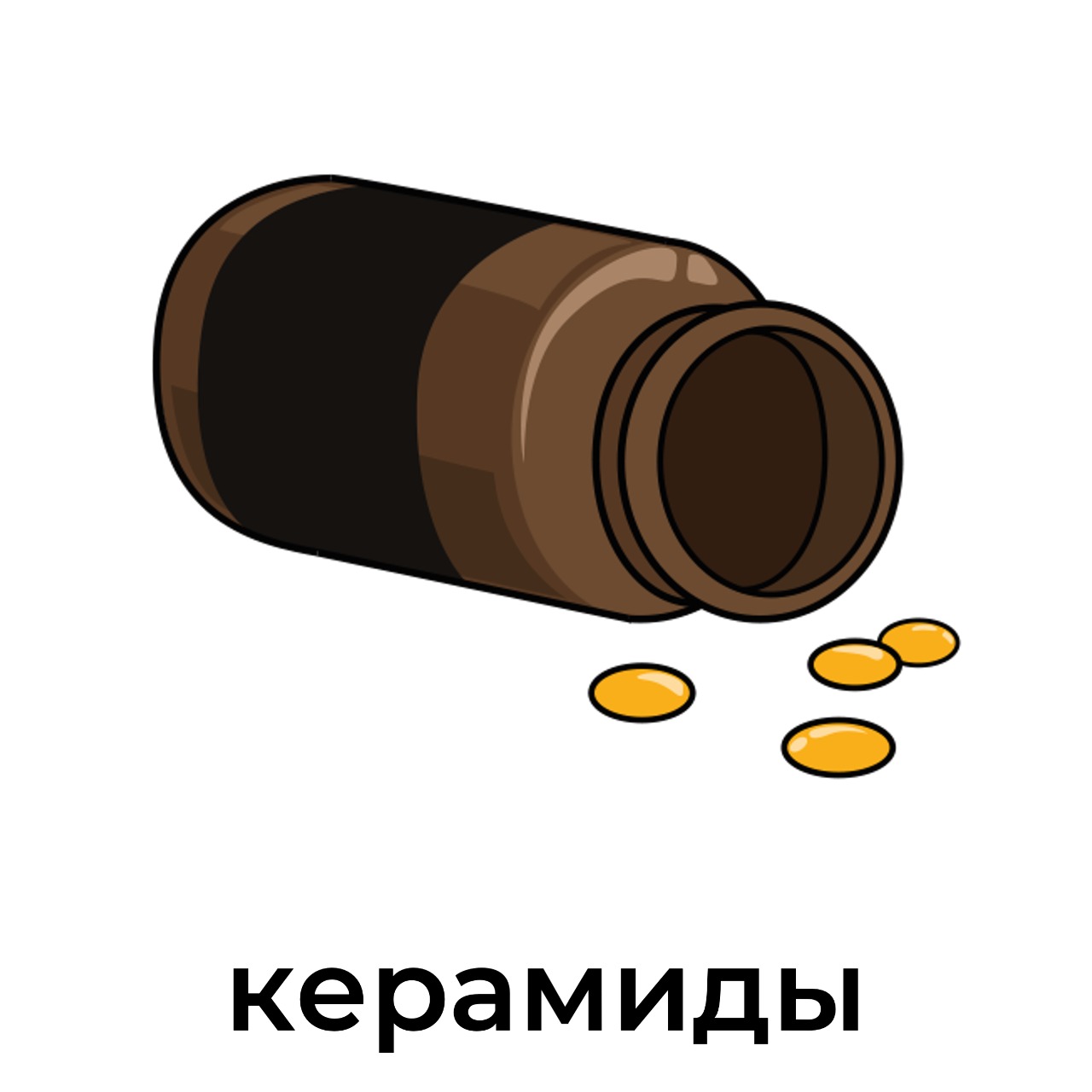 керамиды.jpeg