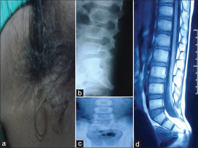 Fig 2.jpg