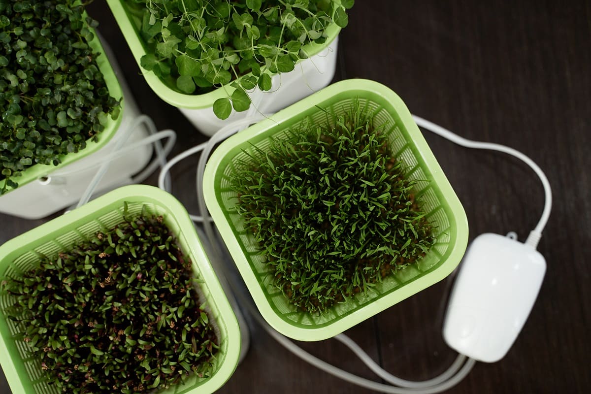 prorashchivatel-zdorovya-klad-belyj-4-h-modulnyj (11).jpg