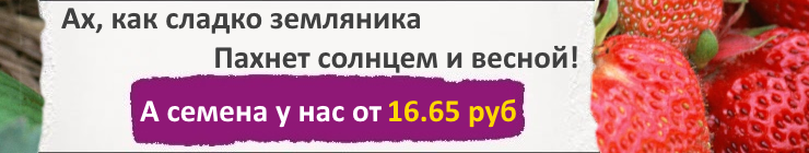 Купить семена Ягодные культуры, цена низкая, доставка почтой наложенным платежом по России, курьером по Москве - интернет-магазин АгроБум.