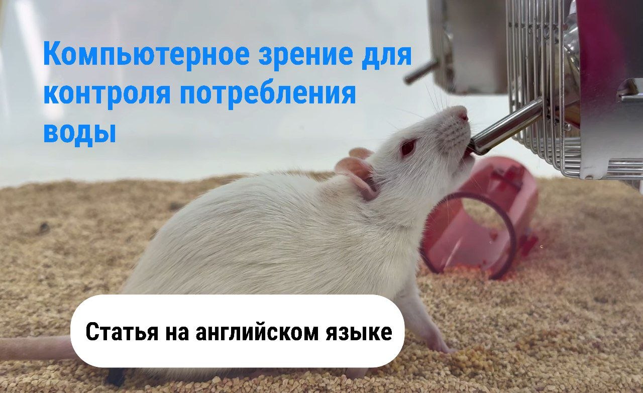 20.07.2026.jpg