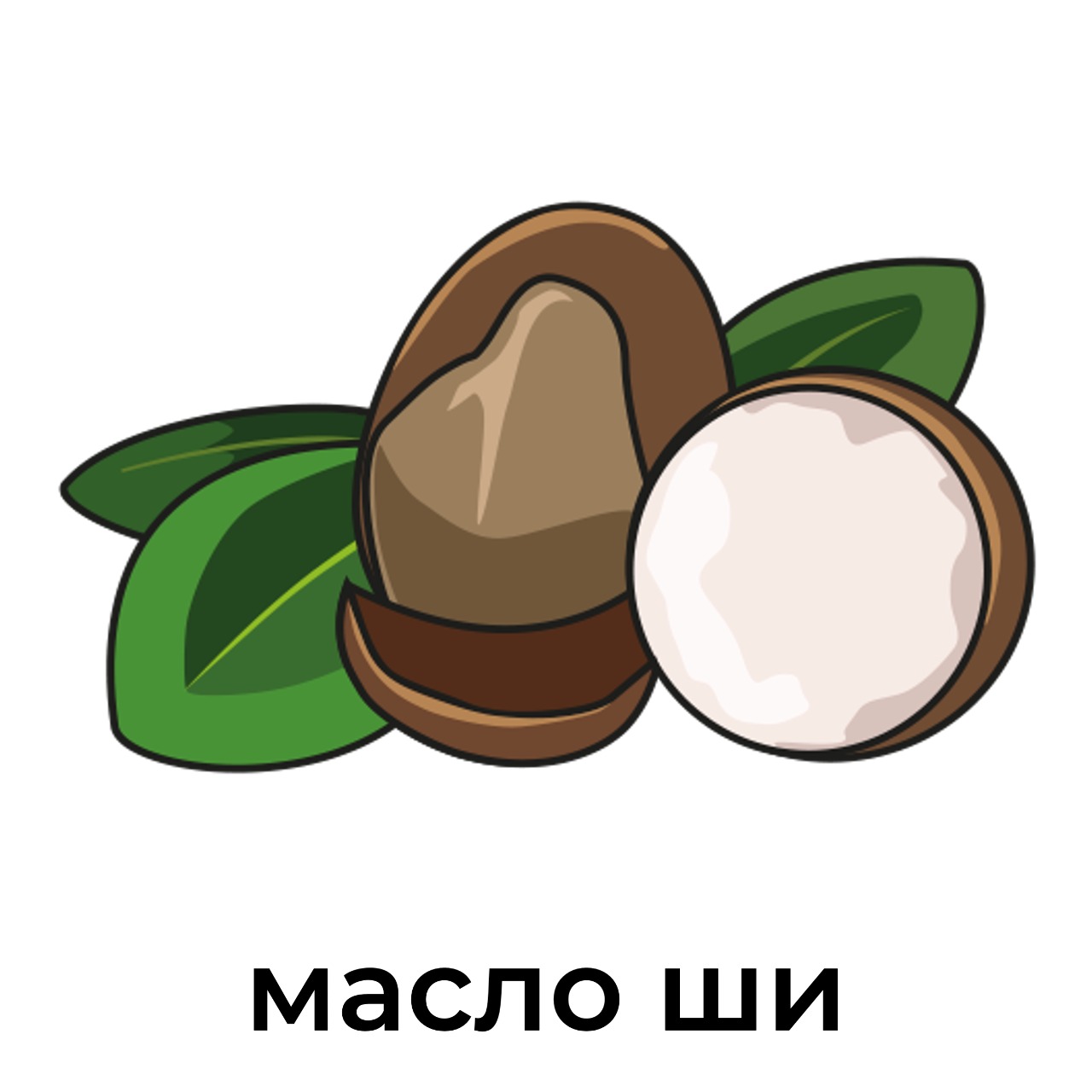 масло_ши.jpeg