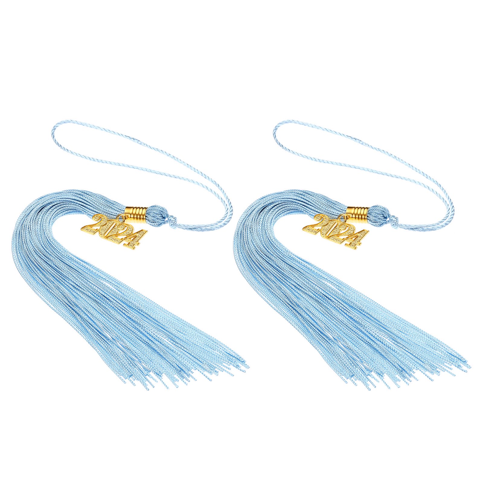 SBlue tassel 2024.jpeg