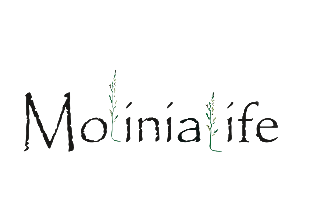 Molinialife Льняная одежда для всей семьи