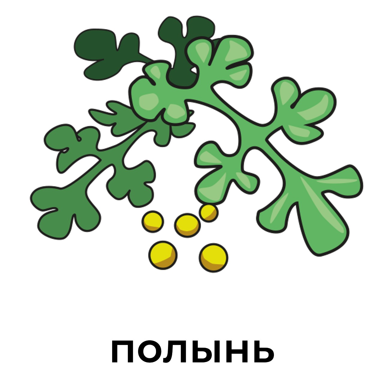 полынь.jpeg