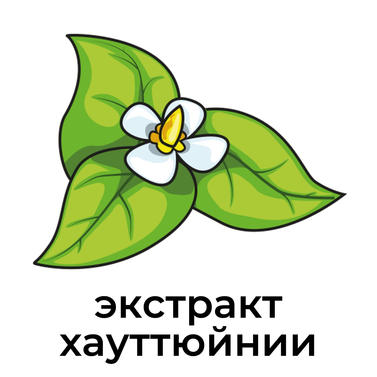 экстракт_хауттюйнии.jpeg