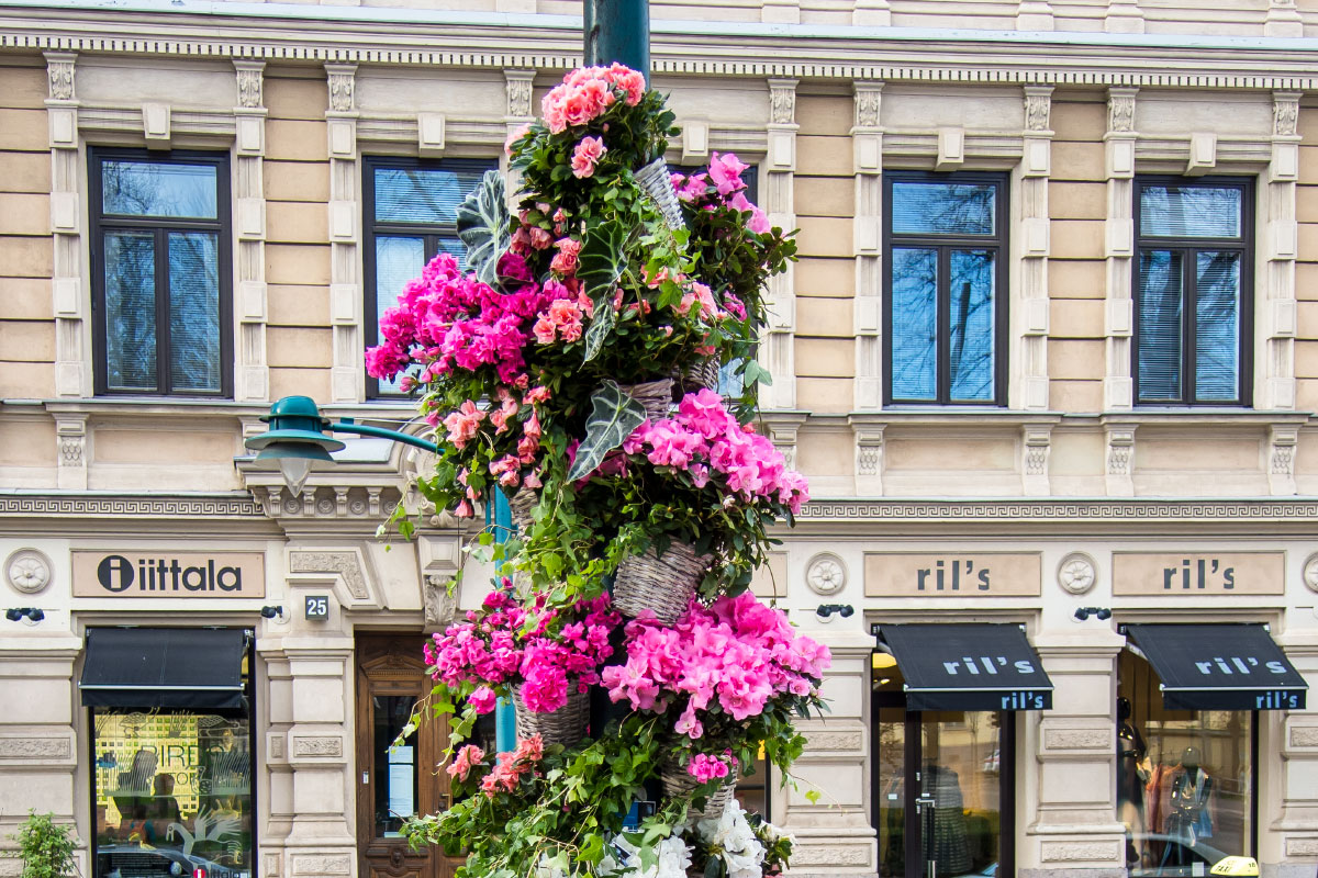 Цветы на улицах Хельсинуи