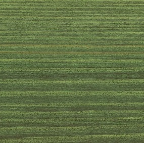  Osmo 9242