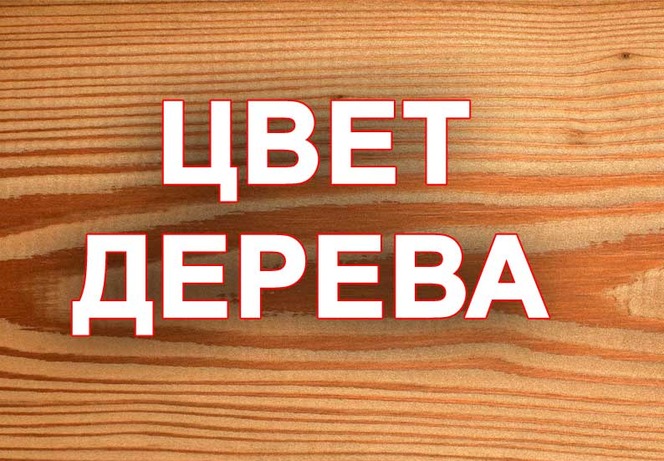 цвет_дерева.jpg