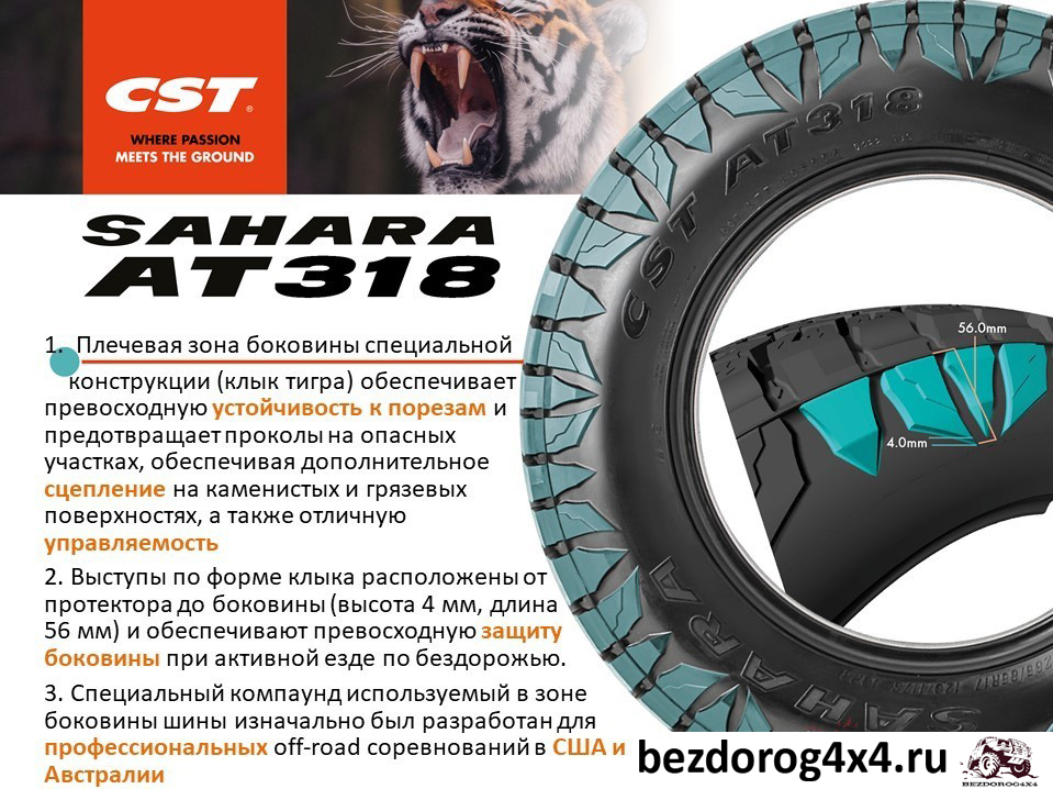 file8133.jpg