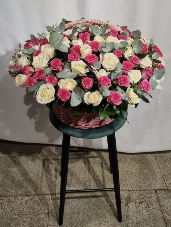 1000013254 1000013254.jpg