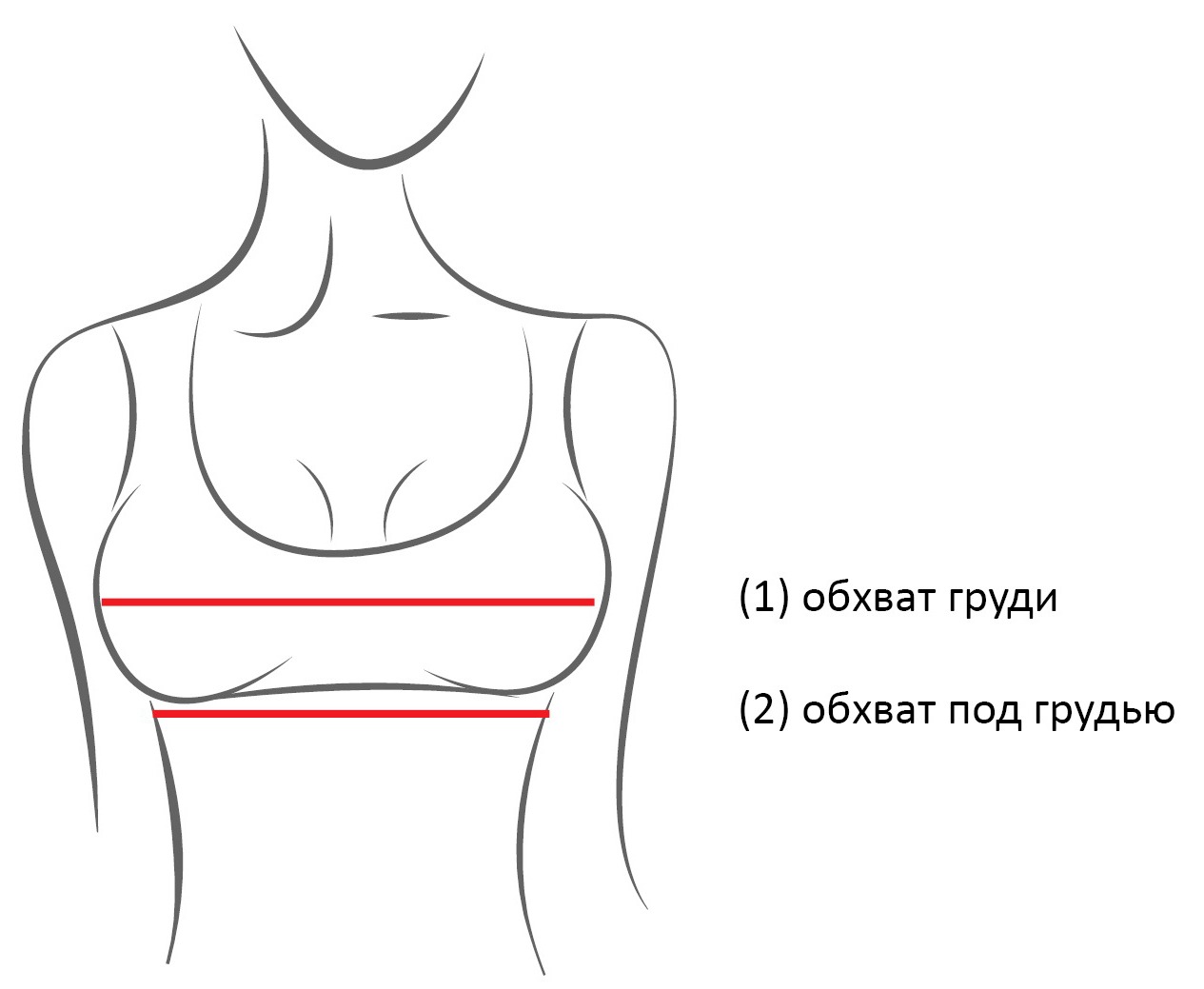 как измерить обхват груди одежды у женщин фото 87
