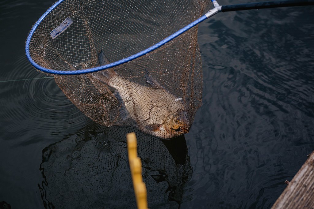 Рыбалка в мае с фидером на фодохранилеще 00007.jpg