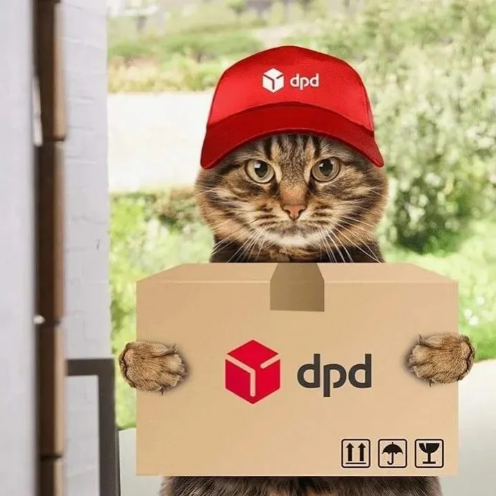 dpd доставка