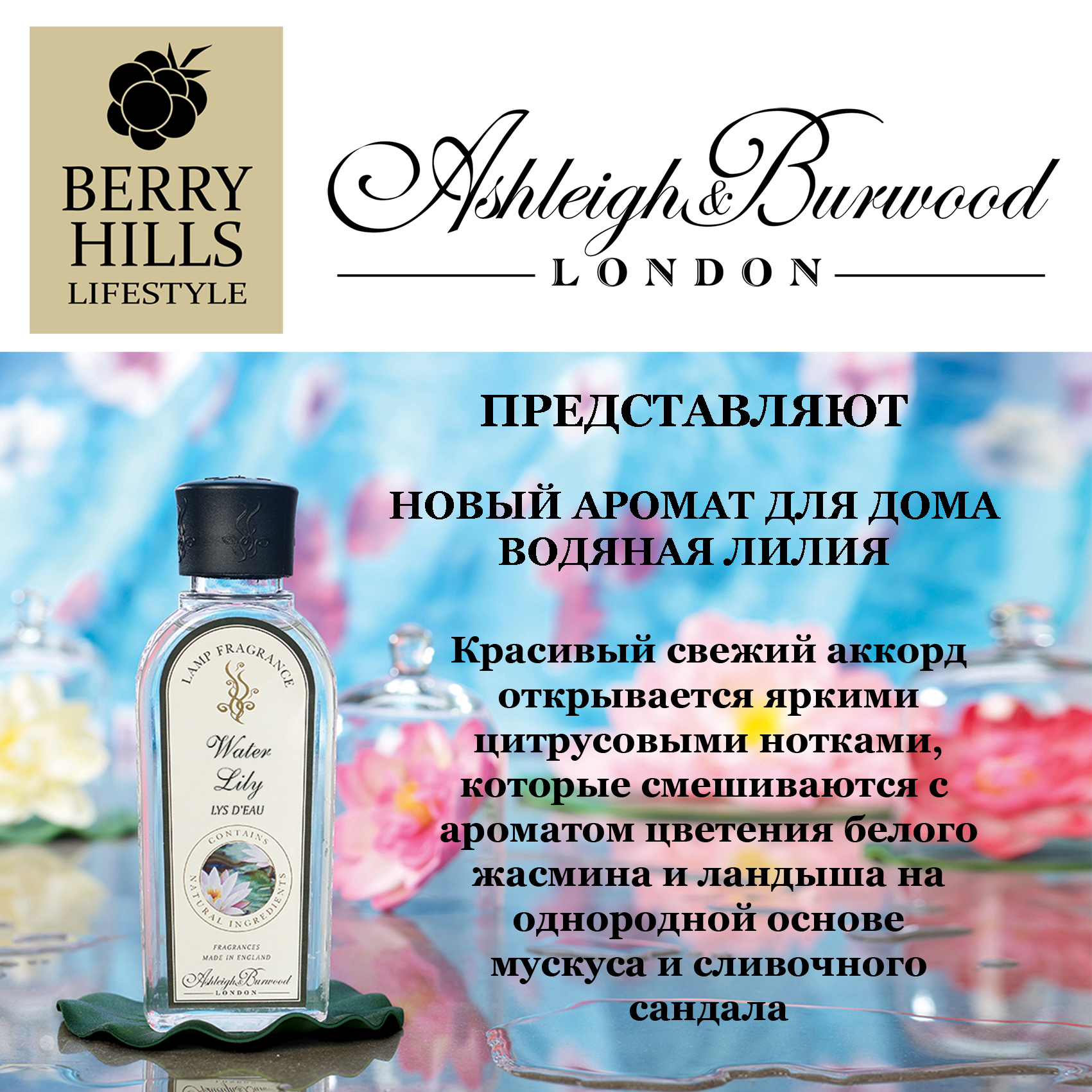 Презентация нового аромата для дома в магазине Berry Hills Lifestyle