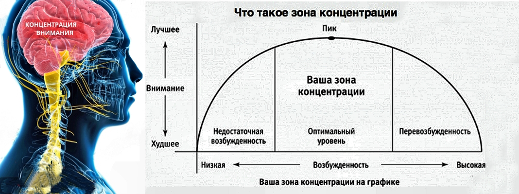 что такое концентрация внимания чем управляется.jpg