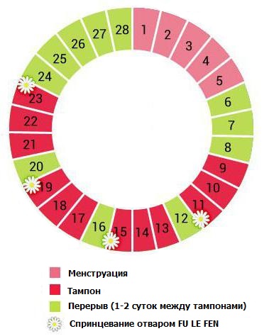 Схема применения фитотампонов "QGW"