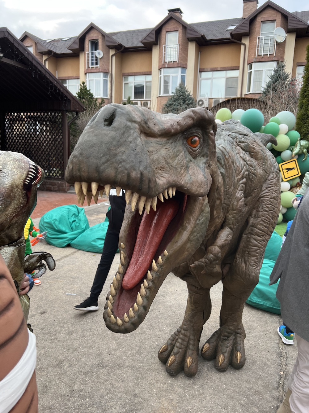 Dino Party