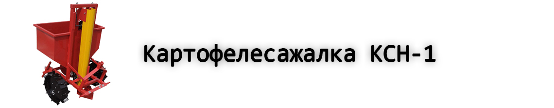 КСН1_1728371437163-1728371440394.jpg