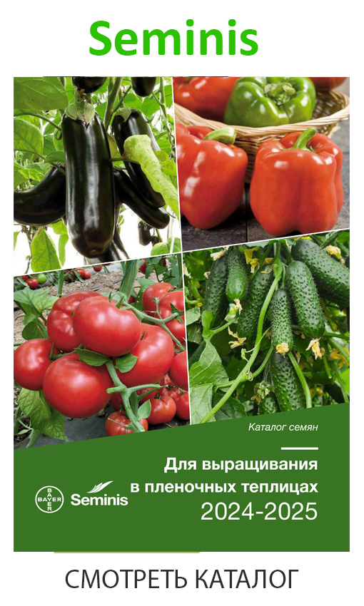 seminis_каталог_2024-2025.jpg