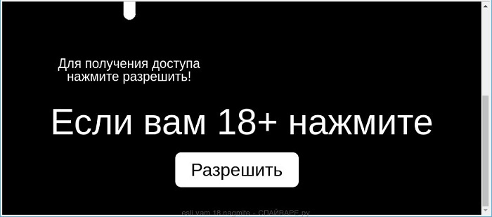 Подтверждение возраста на сайте