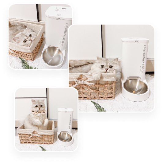 Как все начиналось