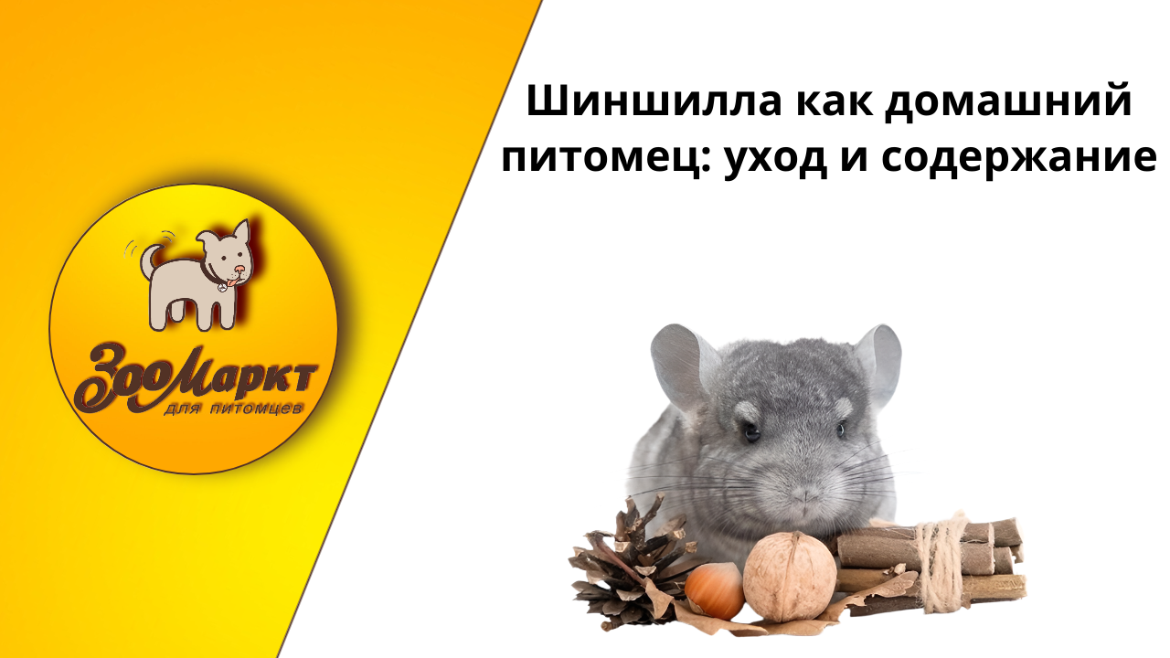 График работы.png