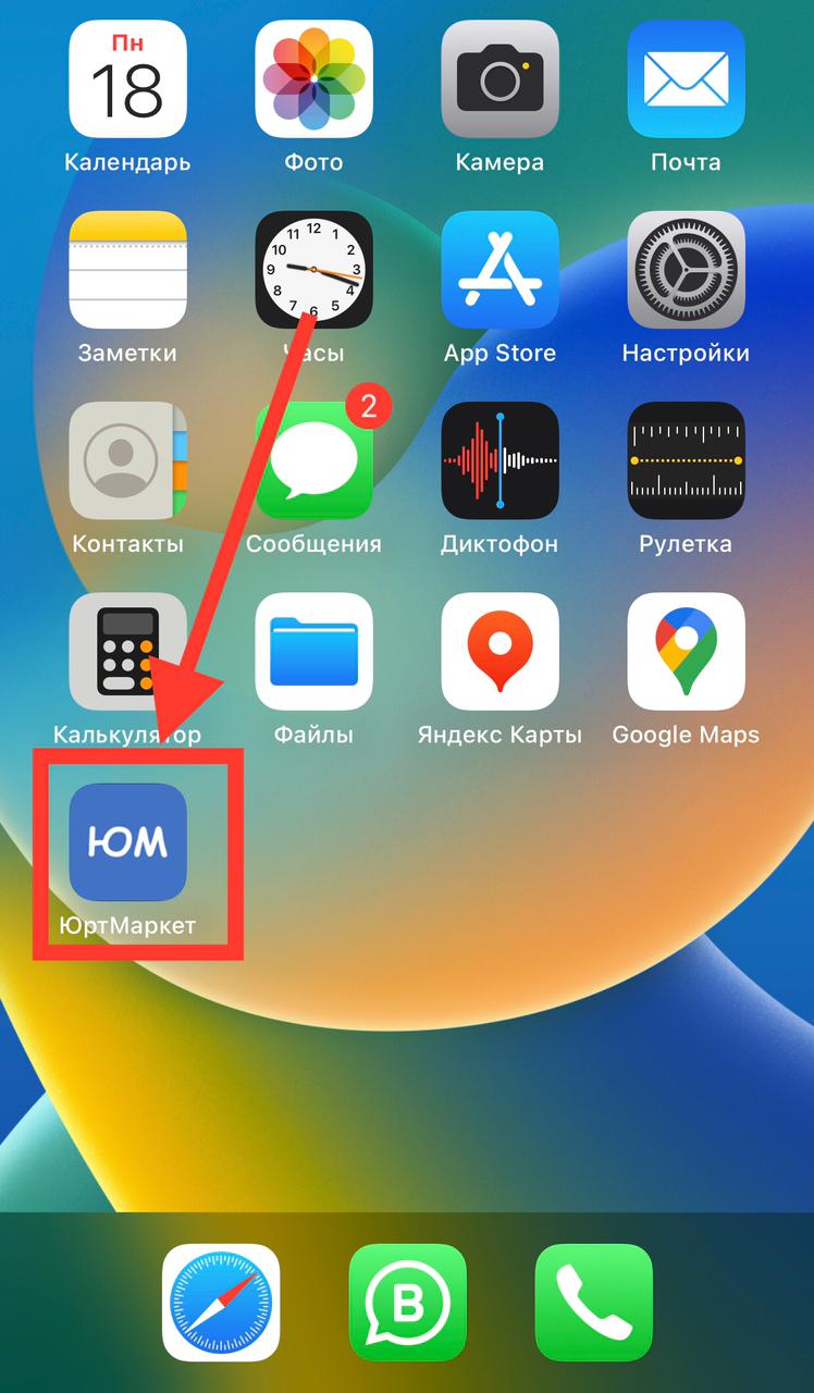 Изображение WhatsApp 2024-11-18 в 21.27.18_ac85865a.jpg